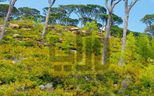 Land For Sale In Btekhnay