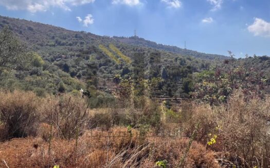 Land For Sale In Aley – Btaloun