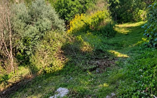 5,750SQM Land For Sale In Bchamoun