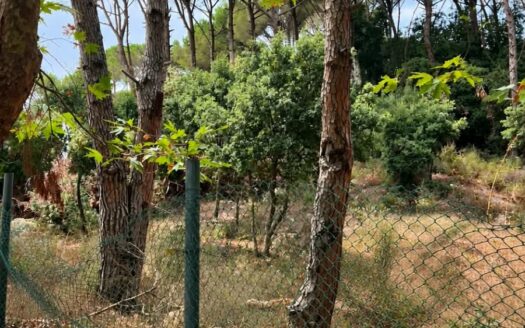 1670SQM Land for Sale in Aley